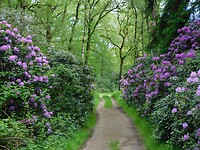 Landgoed Wellenseinde……
