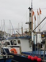 DSCN9925