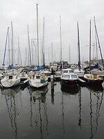 DSCN9932