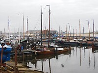 DSCN9953