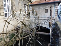 DSCN0299