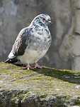 DSCN0308