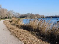 Wandelpad langs de Rhône…..