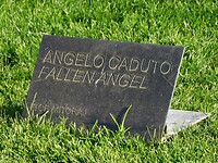 DSCN0456