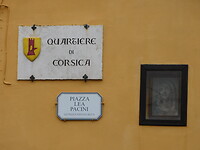 DSCN0547