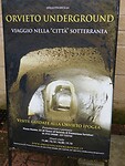 DSCN0524