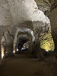IMG_7516