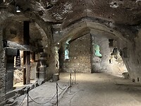 IMG_7517
