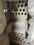 IMG_7527