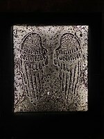 De vleugels van Daedalus…..
