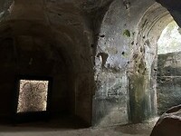 IMG_7552