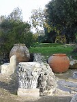 DSCN0718