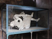 DSCN0791