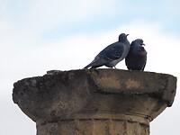 DSCN0856