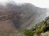DSCN0943