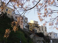 DSCN0999