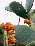 DSCN1002