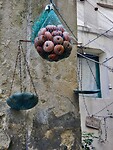 DSCN1148