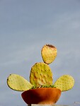 DSCN1168