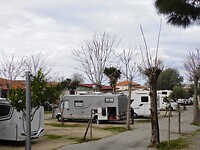 DSCN1173