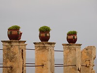 DSCN1185