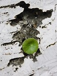DSCN1187