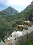 DSCN1321