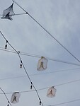 DSCN1516