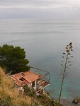 DSCN1584