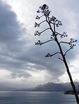 DSCN1593