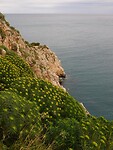 DSCN1630