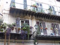 DSCN1698