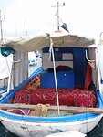DSCN1890