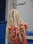 DSCN1892