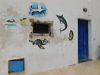 DSCN1913