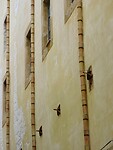 DSCN1964