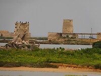 DSCN2040