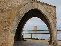 DSCN2066