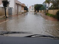 DSCN2073