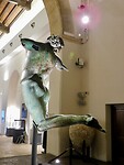DSCN2117