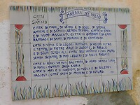 DSCN2126