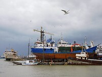De Kanaalhaven….