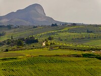 DSCN2193