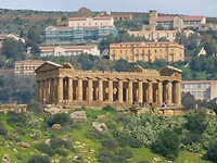 DSCN2203