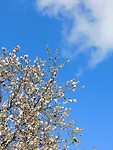DSCN2219