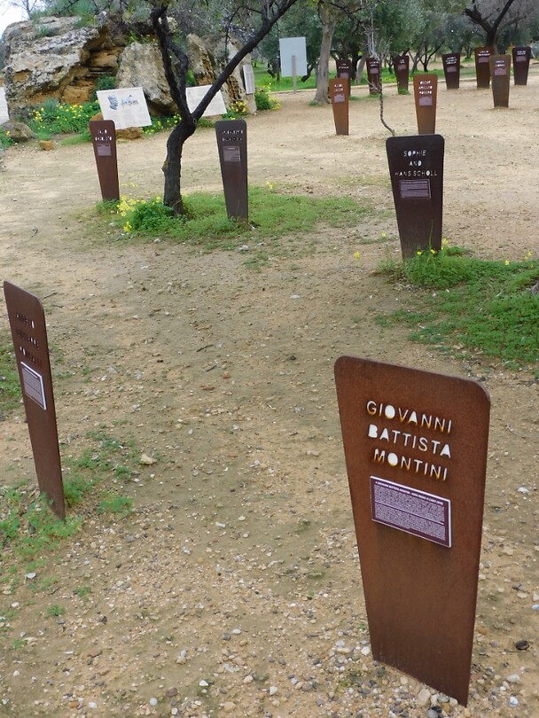 DSCN2308