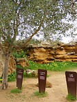 DSCN2310