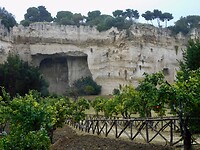 DSCN2341