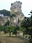 DSCN2346
