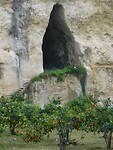 DSCN2349
